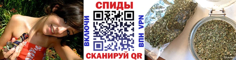 Бутират буратино Сурск