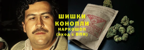 ПСИЛОЦИБИНОВЫЕ ГРИБЫ Аркадак