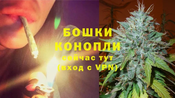 каннабис Арсеньев