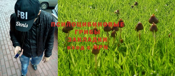 ПСИЛОЦИБИНОВЫЕ ГРИБЫ Аркадак